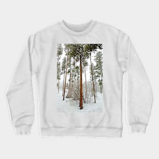 Winter Park Late Spring Study 1 Crewneck Sweatshirt